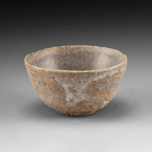 B-21 | Bowl 21 - Image 8