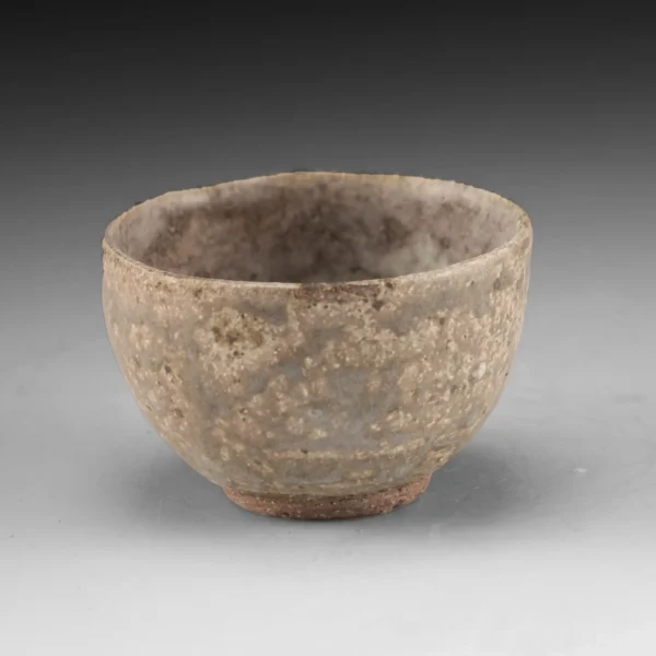 B-21 | Bowl 21 - Image 3