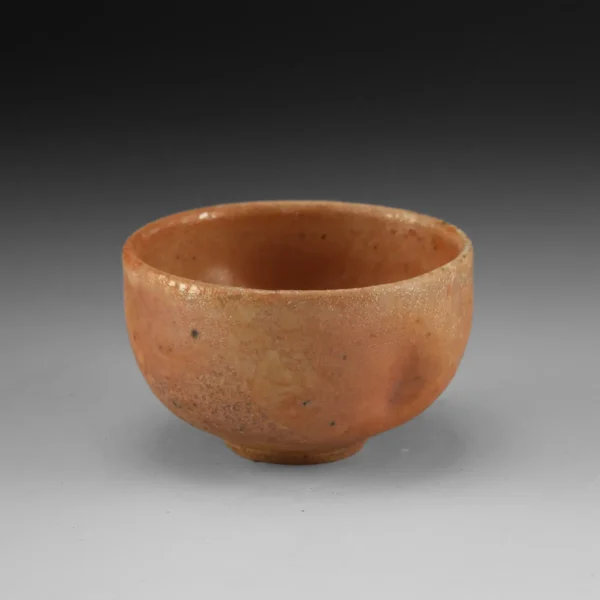 B-22 | Bowl 22 - Image 11
