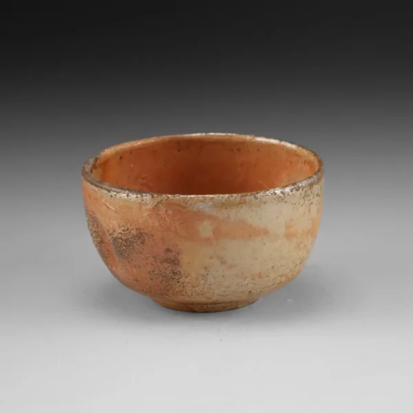 B-22 | Bowl 22 - Image 7