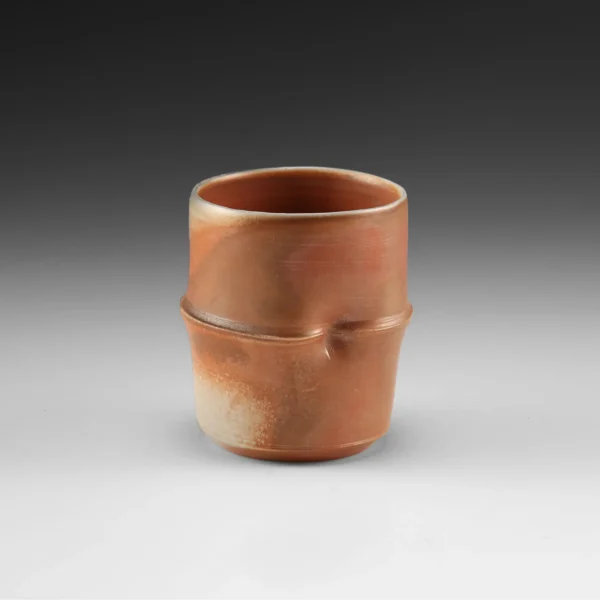 C-10 | Cup 10 - Image 2