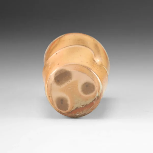 C-11 | Cup 11 - Image 6