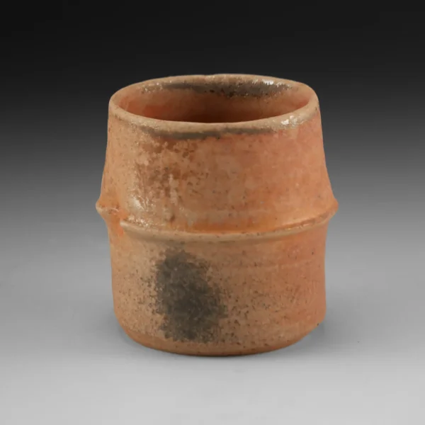 C-15 | Cup 15 - Image 4