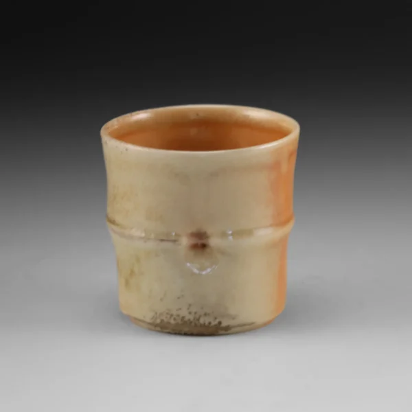 C-17 | Cup 17 - Image 2