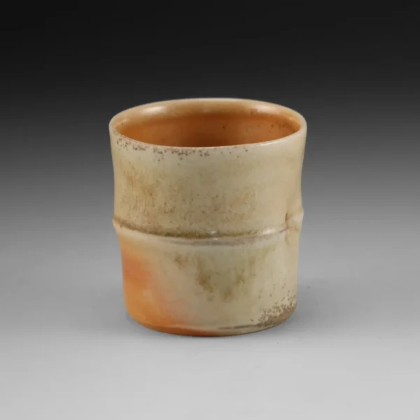 C-17 | Cup 17 - Image 5
