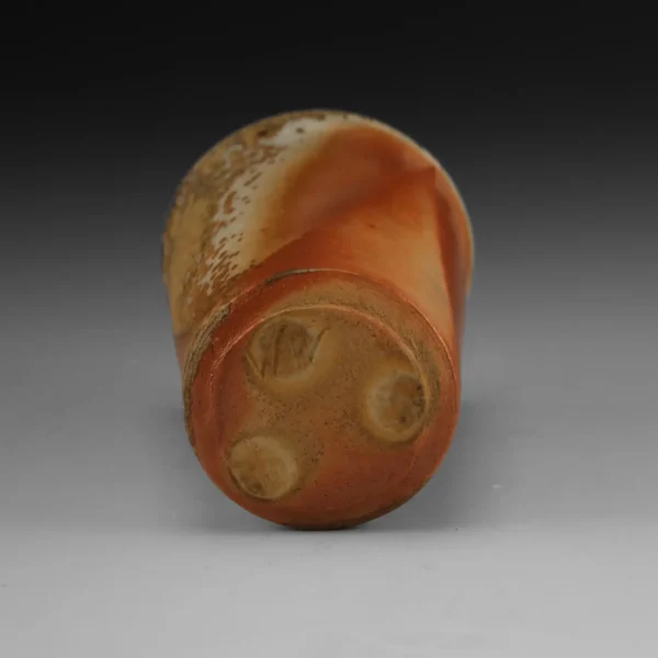 C-18 | Cup 18 - Image 5