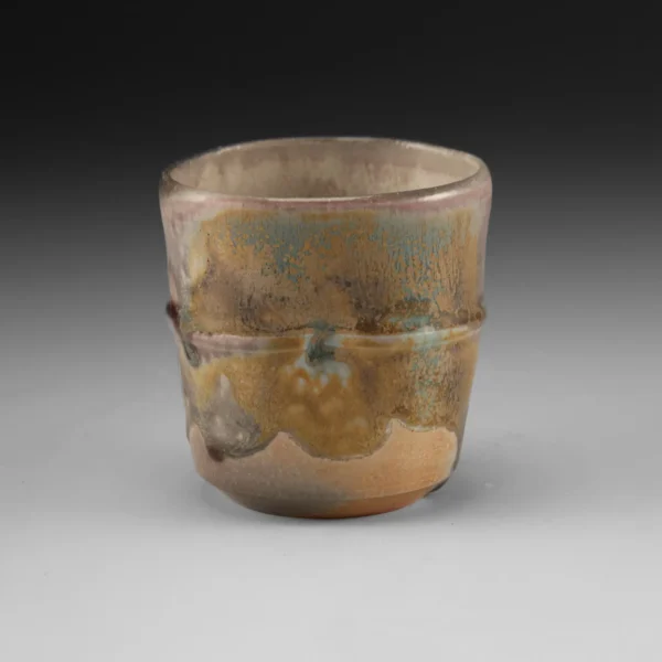 C-20 | Cup 20 - Image 2