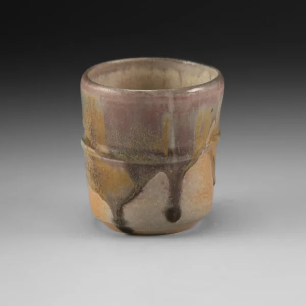 C-20 | Cup 20 - Image 3